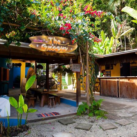 Sintonia Surf Hostel E Bar Ubatuba Buitenkant foto